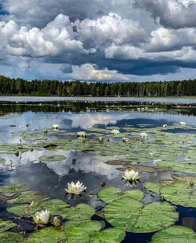 F75B39D8-424F-44BD-9E3F-CC804B137B15