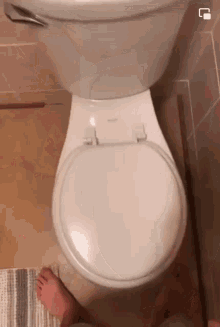 IMG-1426.gif