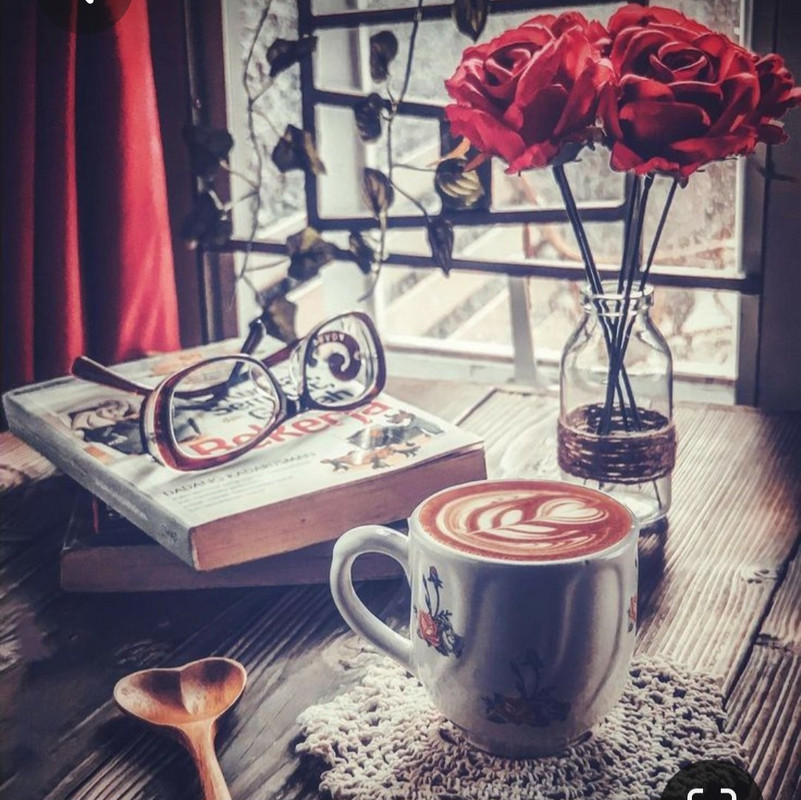 Screenshot_20230305_231209_Pinterest