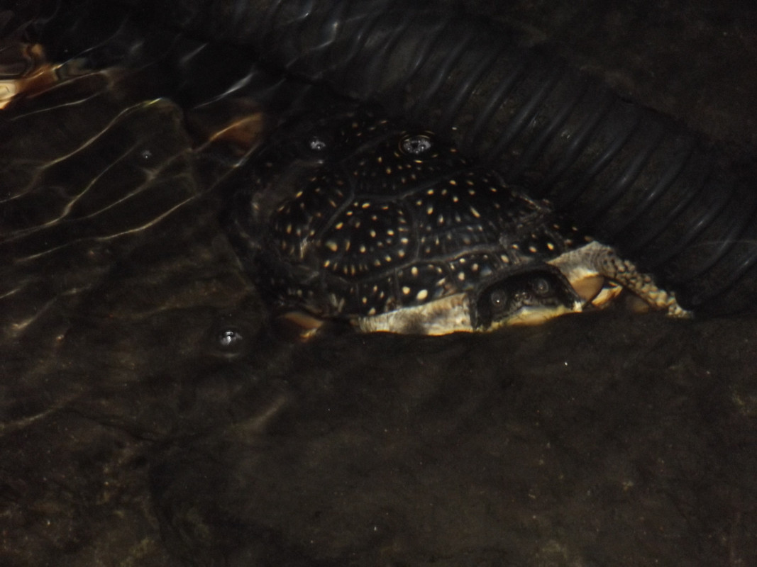 DSCF4969.jpg