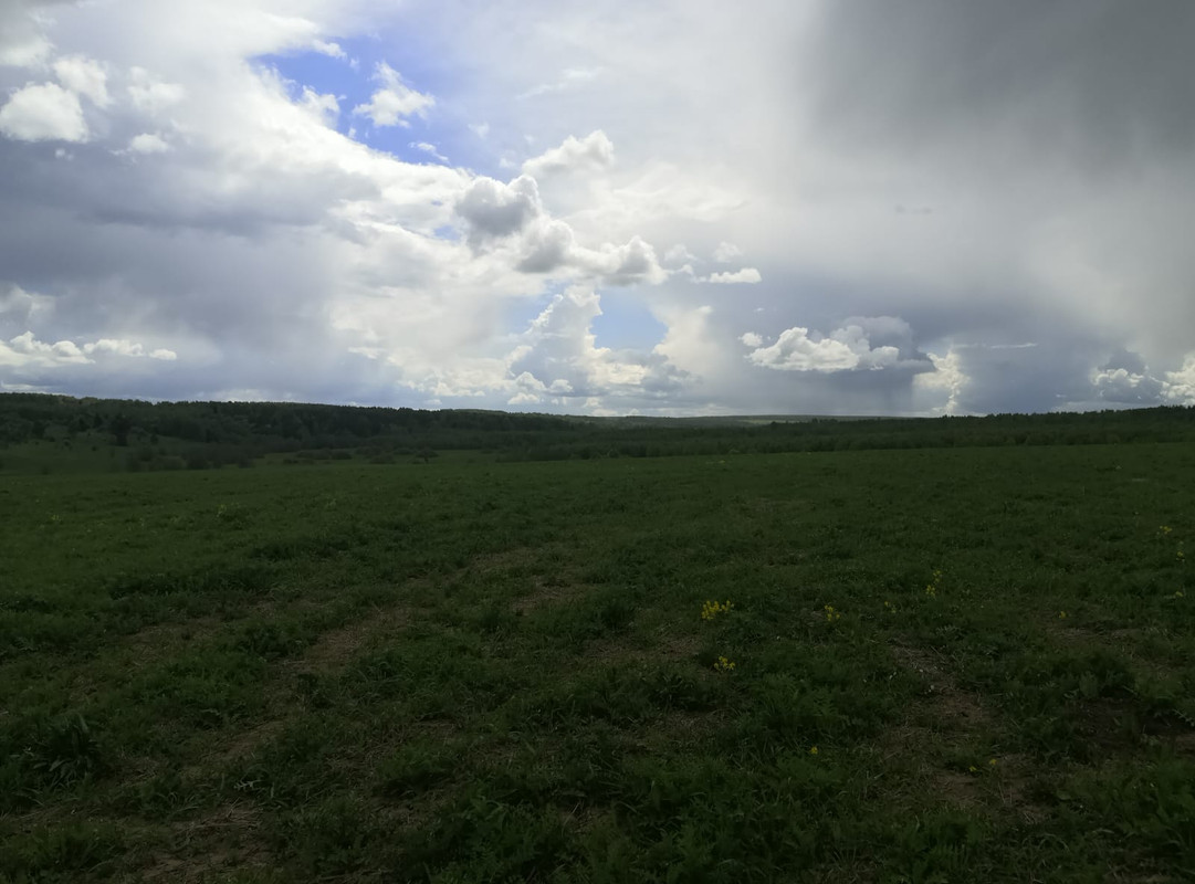 WhatsApp Image 2022-05-30 at 08.55.11 (1)