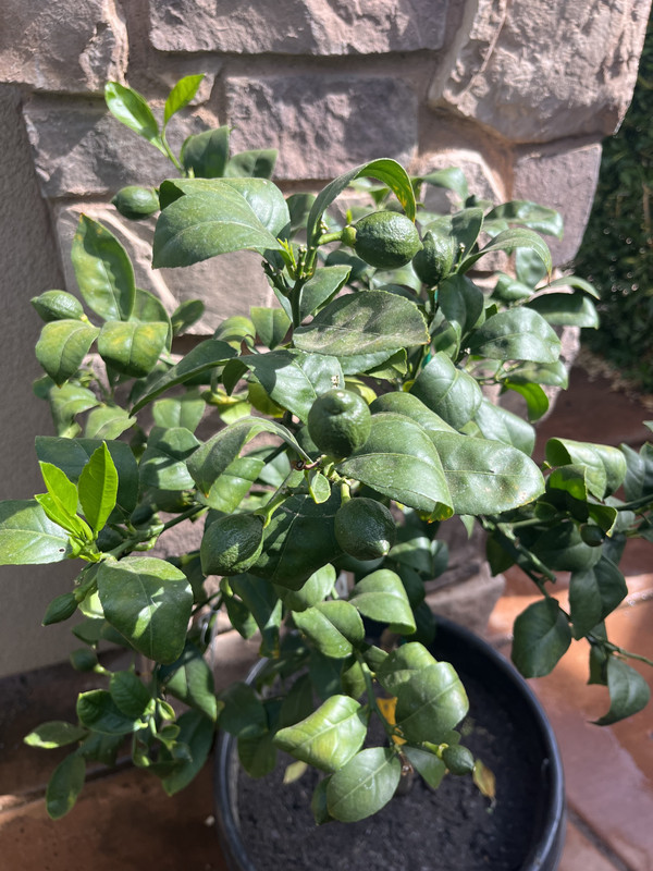 DCD44A33-023B-41AE-B262-E024D31E11A6