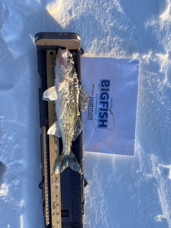 A48B1C34-4A44-42F8-A44C-0732723B2C06