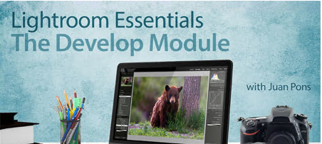 Lightroom Essentials: The Develop Module