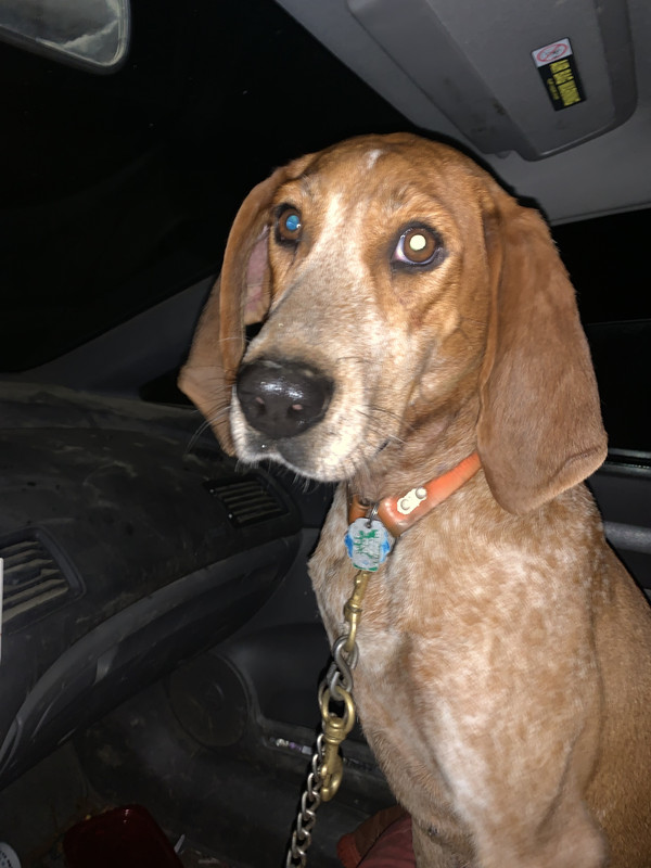 B28007A2-7FC6-424E-A771-9569A2080B21