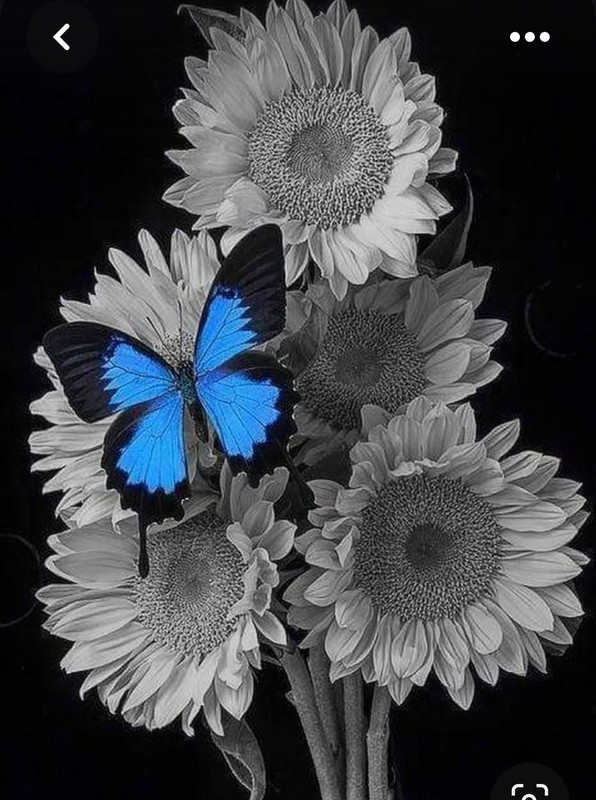 Screenshot_20230412_191202_Pinterest