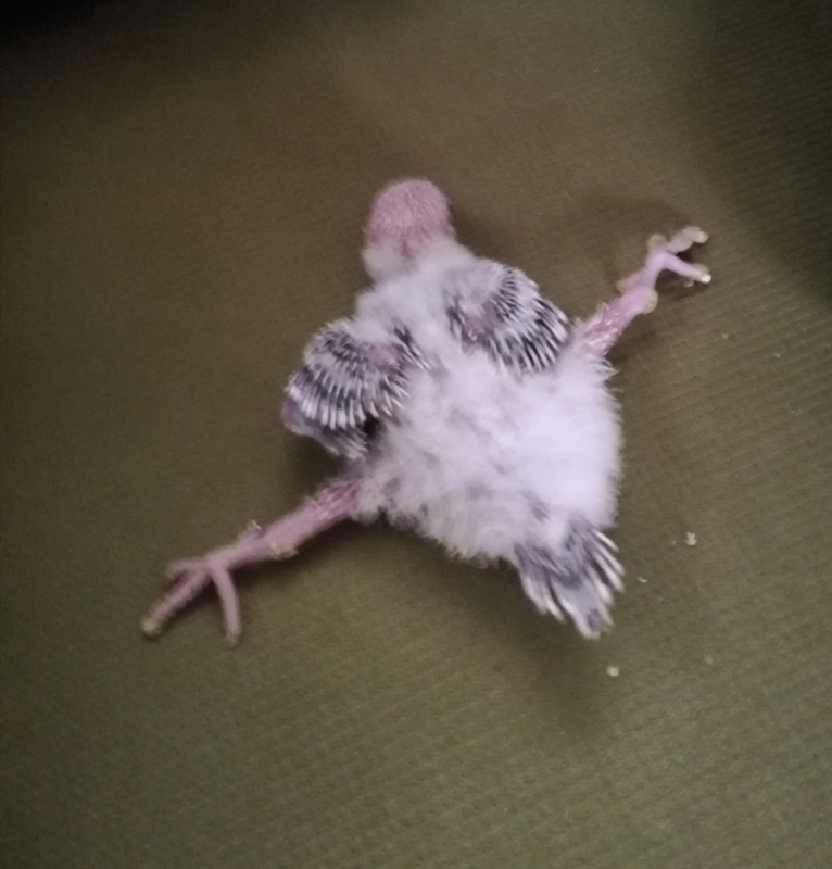 IMG_٢?١٨١٢?٣_?٨٣٤??