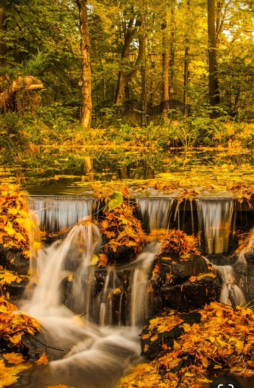 Screenshot_20240218_211451_Pinterest