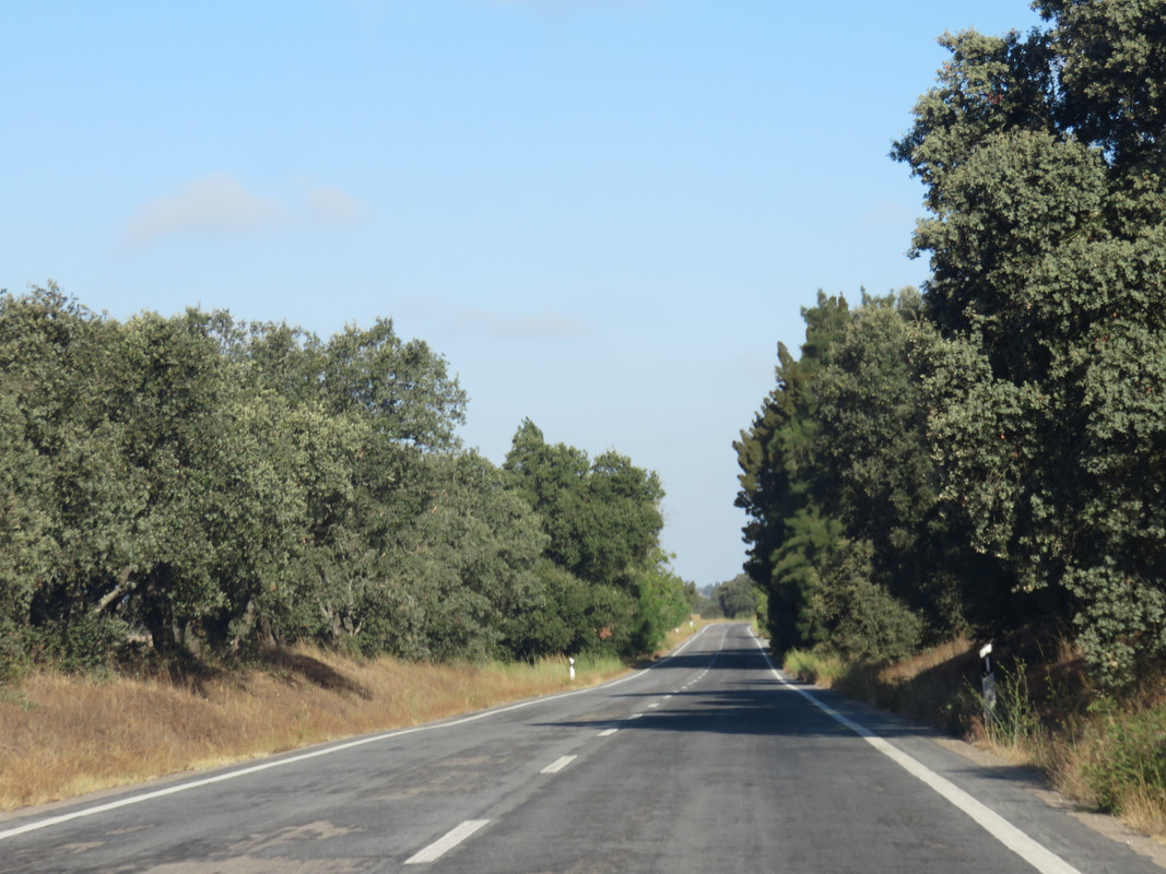 IMG 7798 — Postimages