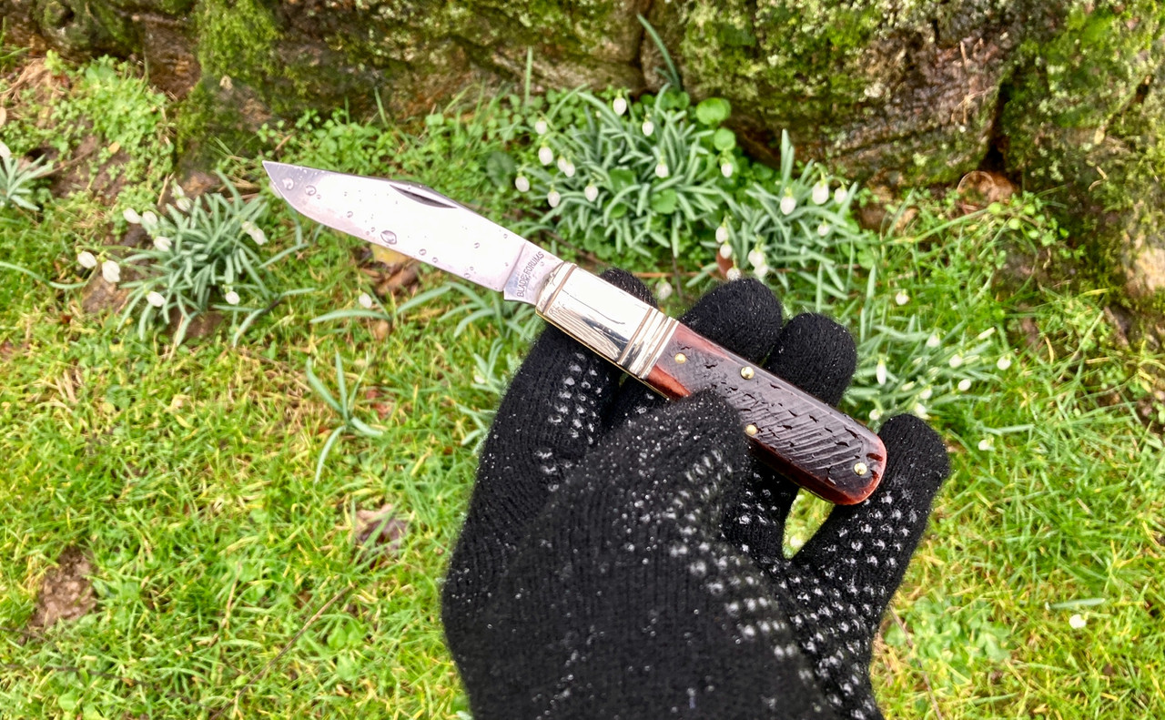 55A042A8-CE13-498A-A4DE-C04C3FFEB69B