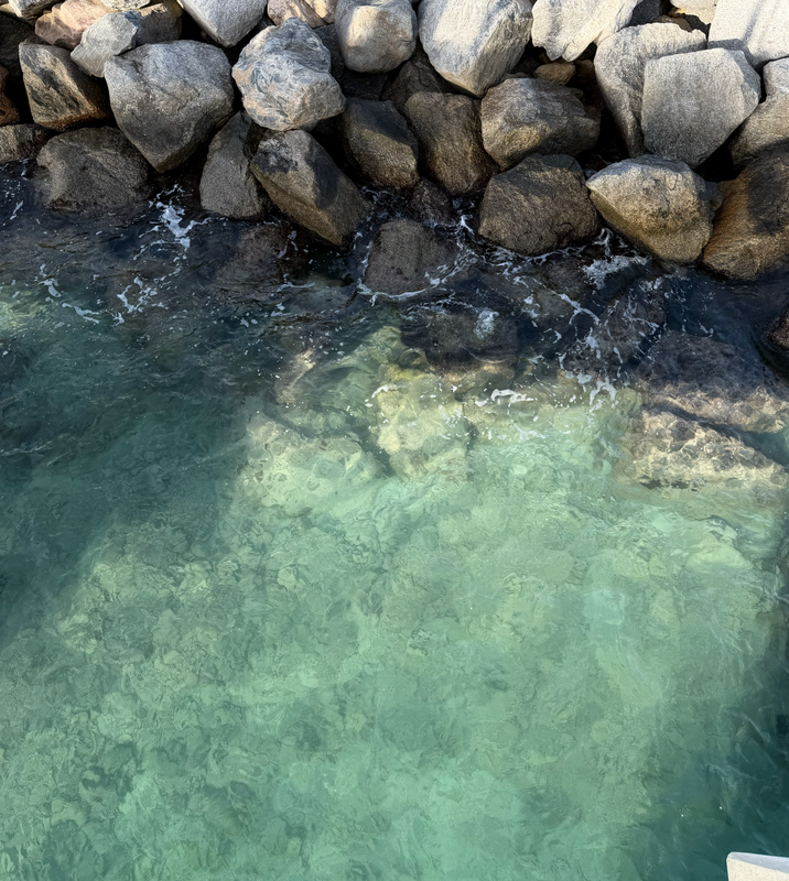 [Image: South-Pointe3.png]