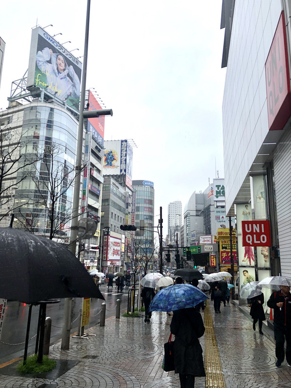 13755CBD-7314-4143-9F57-B103AAFBD275