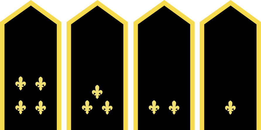 CIN3