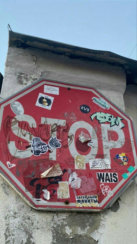 pincase202309184510 (1)