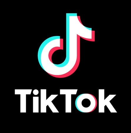 TikTok Icon