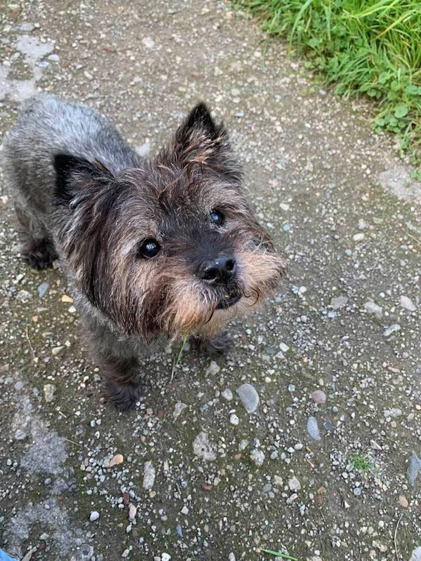 245A06E1-809B-429D-B280-74AA7D16454D