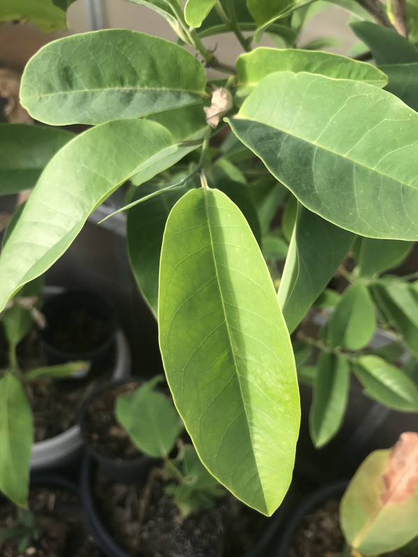 06BBE18B-8650-4015-B019-1DF723583777