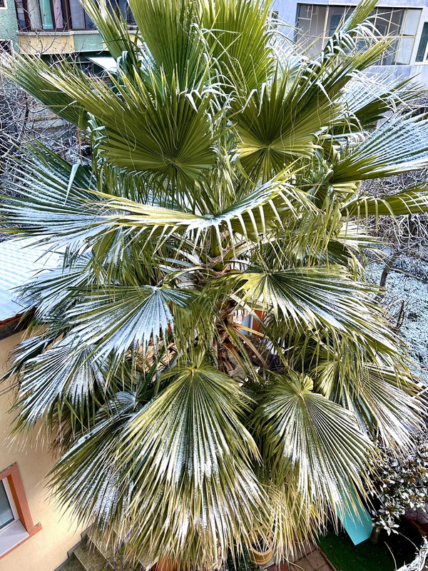 617564586 25968813222742049 8130366451094840004 n