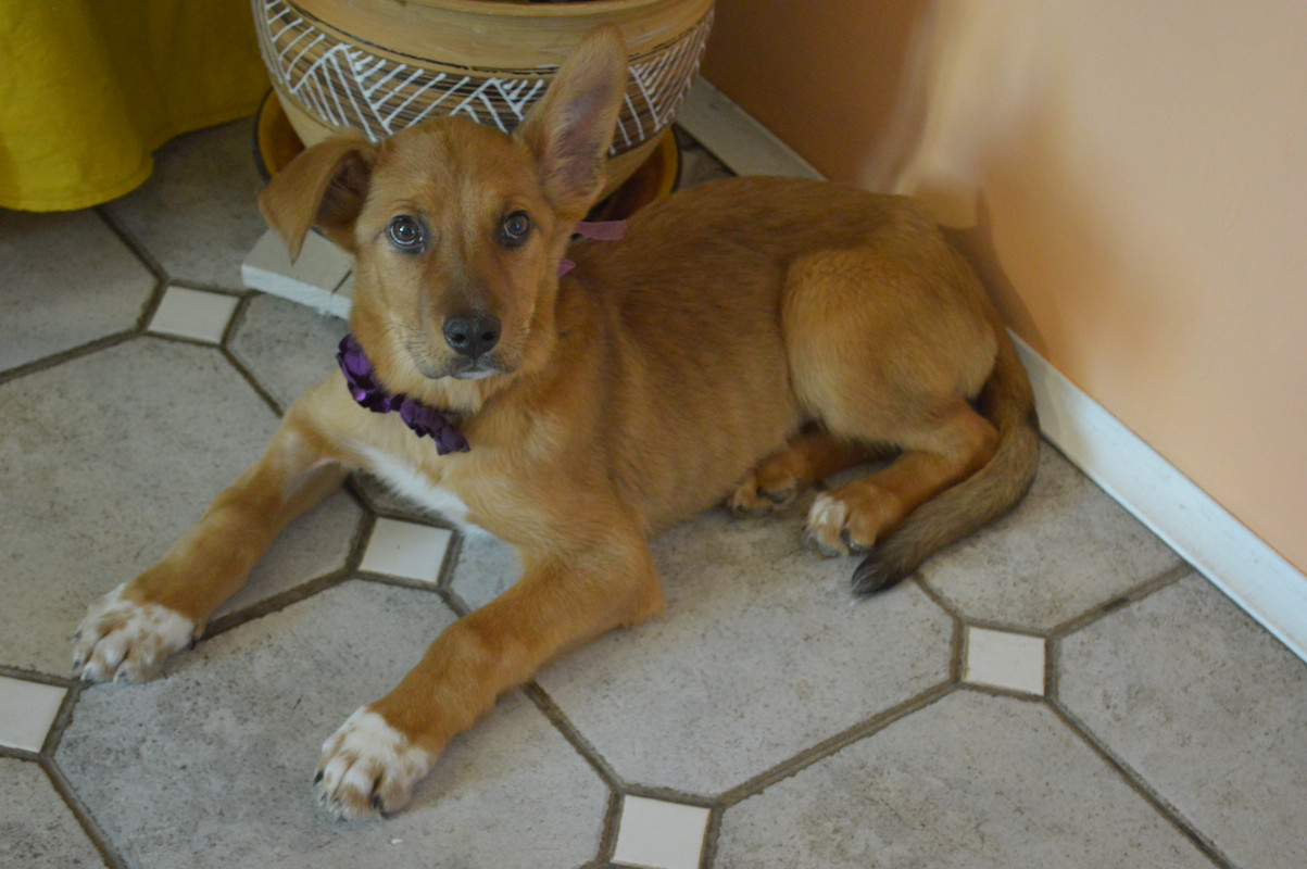 DSC_6910 — копия