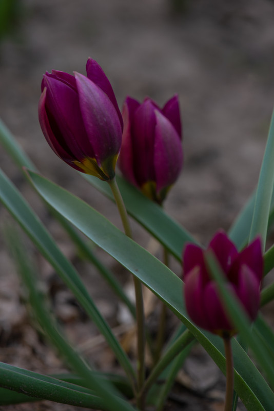 IMG-9b3e76b5420ae43b596d84136dcd20f3-V