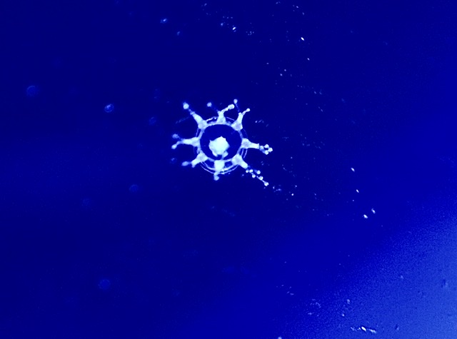 3D7D97C5-5874-468B-BFB7-BC703610D514