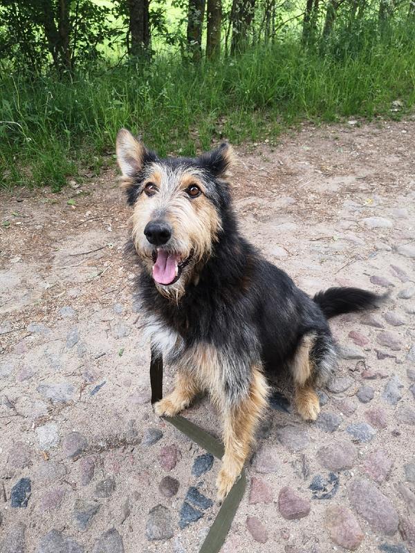 3120D7AB-A0E4-43E0-9606-9DB5BB9C52F9