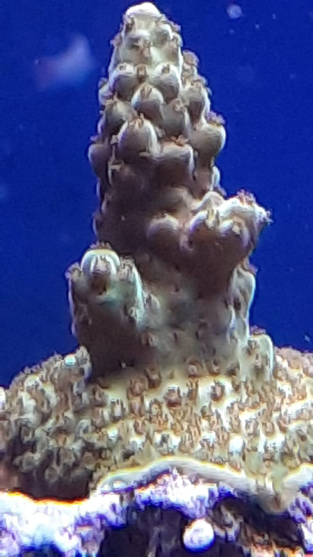 WhatsApp Image 2021-06-10 at 11.35.03 (2)