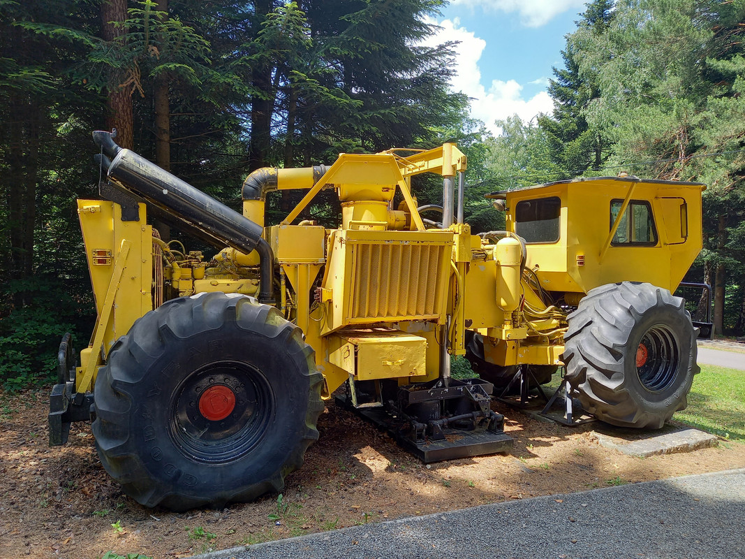 04.25 - 20220617_132047 (TomaszL)