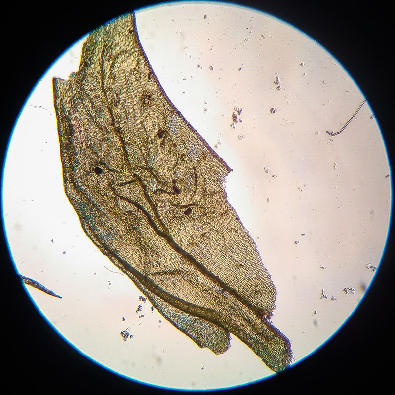 IMG 20250616 210307 HDR