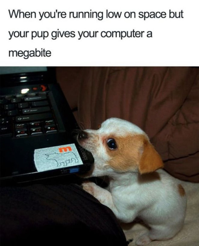 the background blur