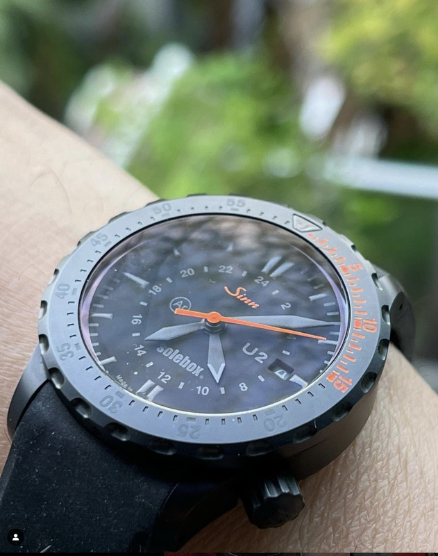 6D49B4B8-1D13-43B6-9FDE-8E07F6693CE3