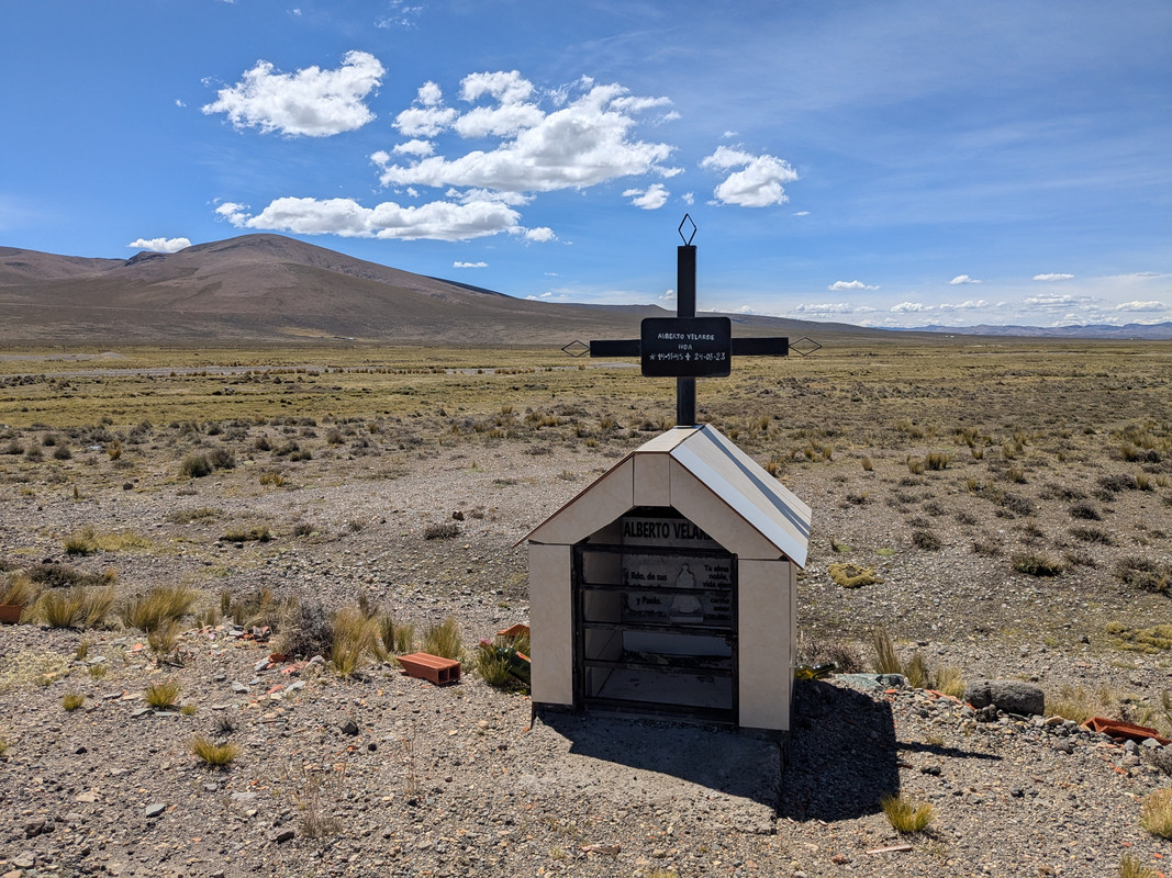 Трое в Амстердаме, не считая собаки. Переезд в Нидерланды.