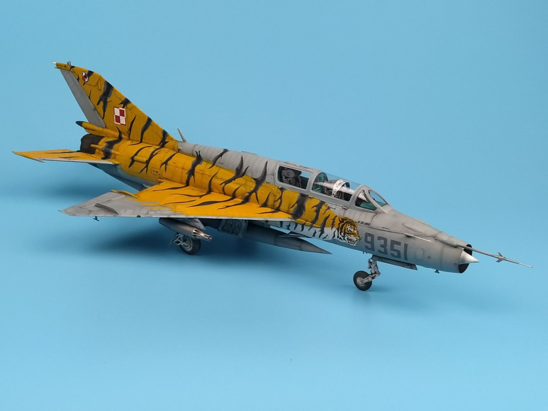 1_IMG_20250105_113129