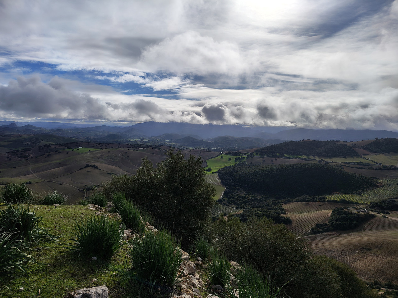 IMG 20260124 112346267 HDR