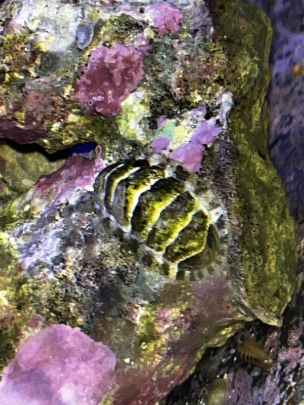 A3C53E47-7F15-48CC-8F3D-2C689315A8DE