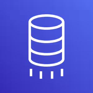 AWS Database Migration Service Logo
