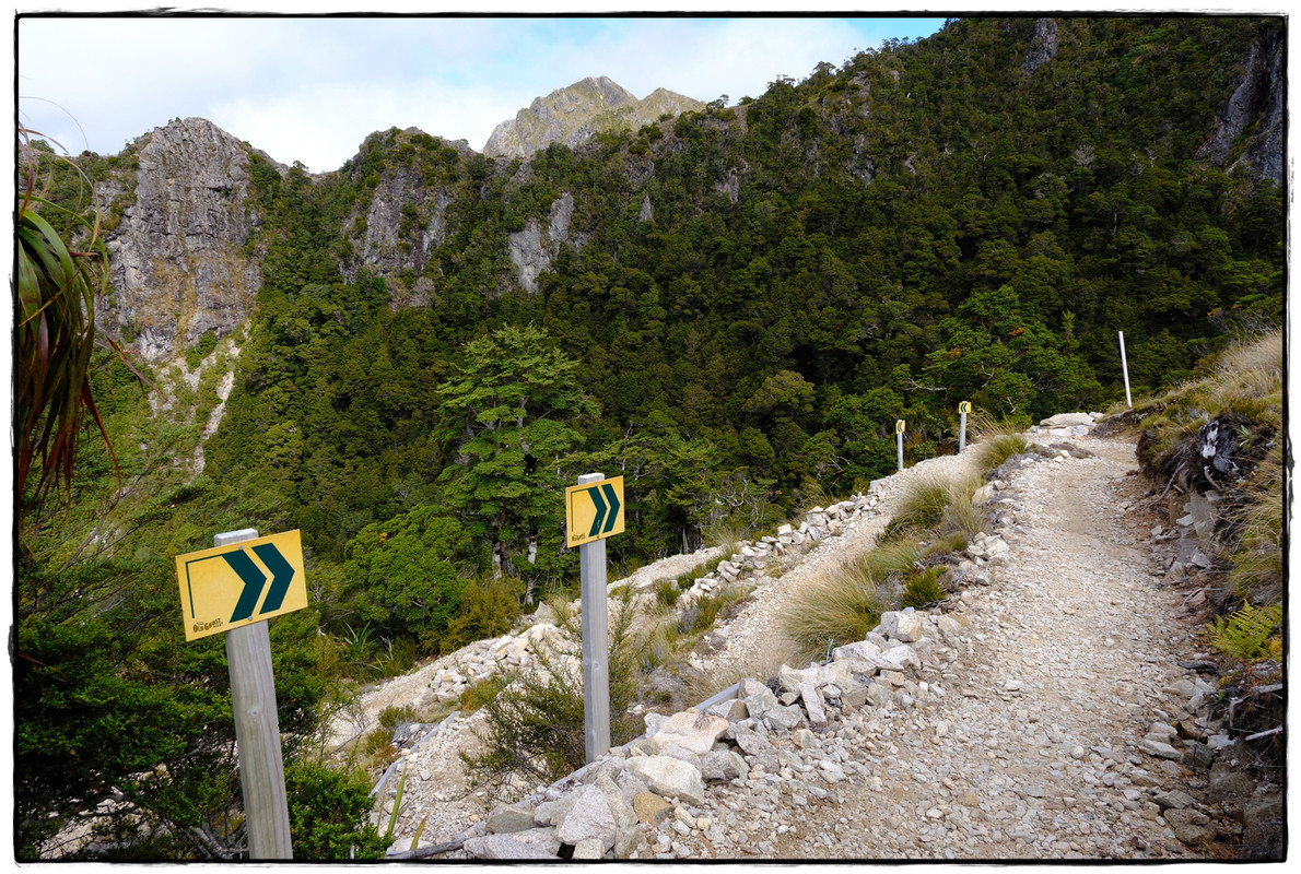 The Old Ghost Road (marzo 2024) - Escapadas y rutas por la Nueva Zelanda menos conocida (45)