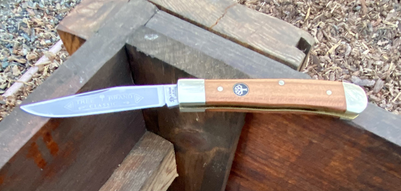 247655C6-C745-4D15-AF3C-F53E2578D566_1_201_a