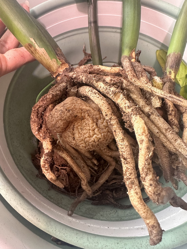 EE598553-9521-4EE7-8D01-24375B89BBAF