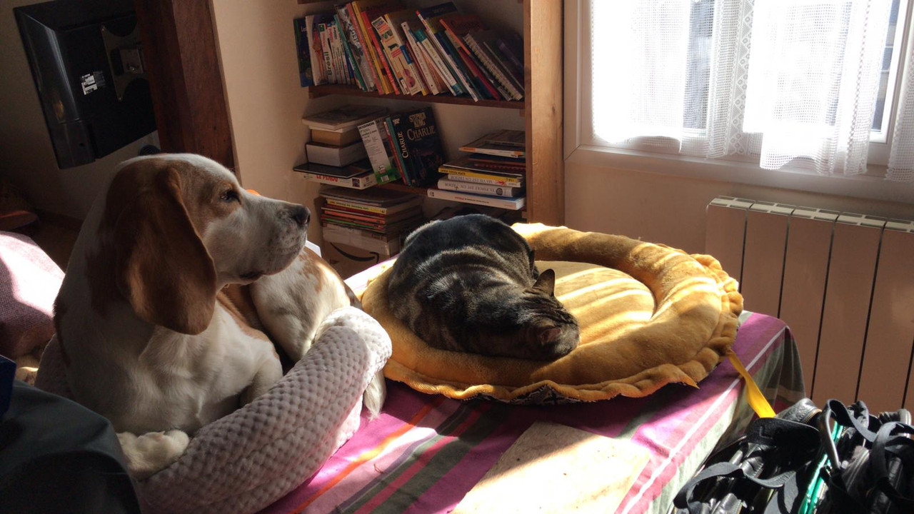 [Image: IMG-20210408-WA0001.jpg]