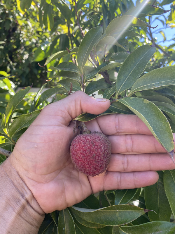 5AD78E50-4E66-4D89-88A1-B0A9DBCFBE38