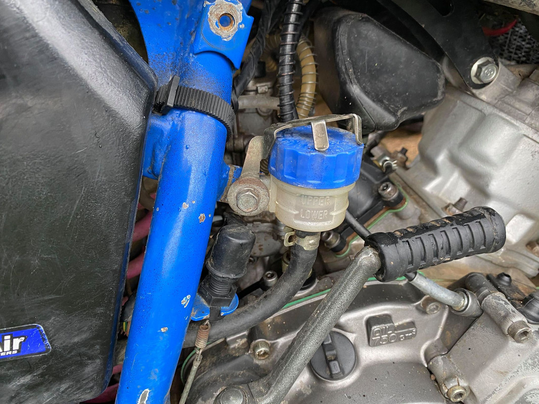 131031042_483264333053731_8380984826448330918_n