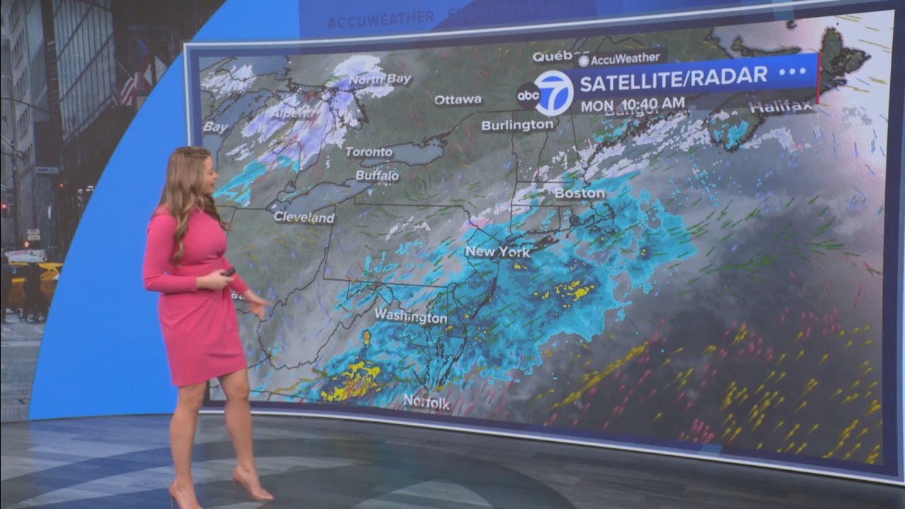 Eyewitness News Mornings at 10_20250407_15001600.ts_snapshot_45.20.886