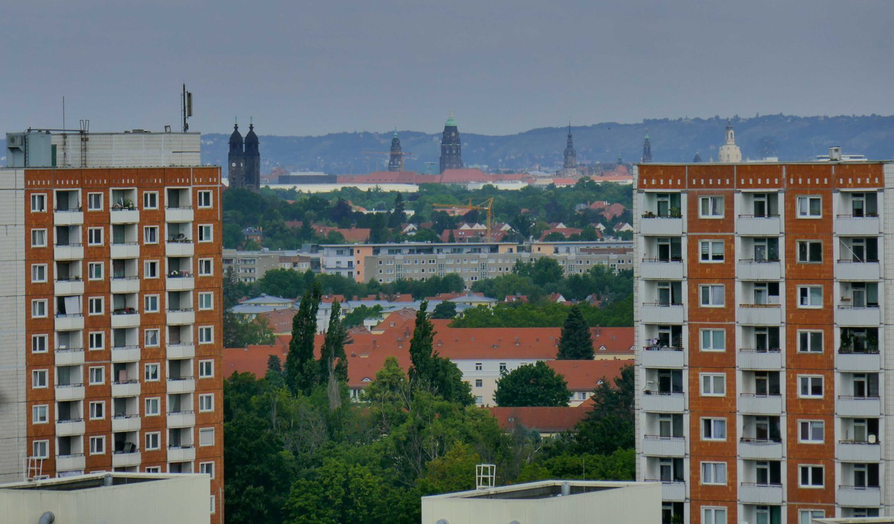 P1290538.jpg