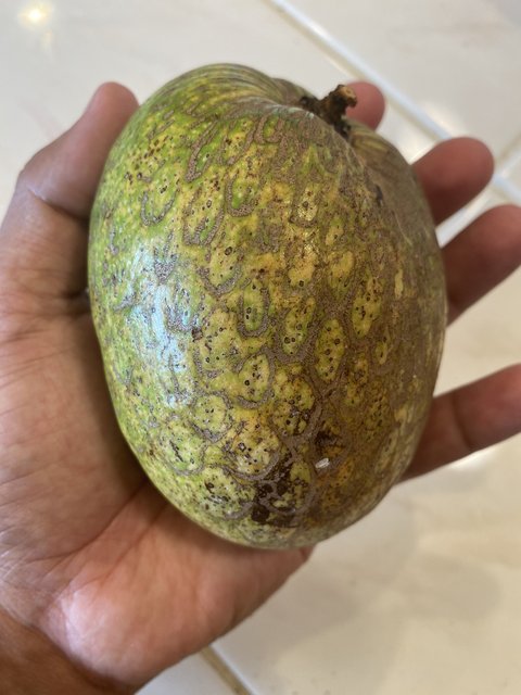 DF96CEAD-DAD8-463C-B1DA-B66E8B9EAFE3