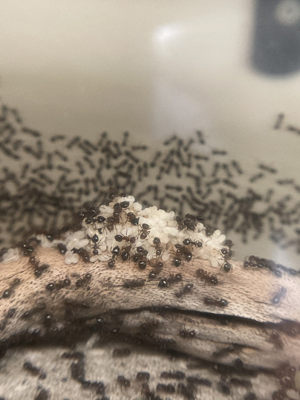 E43FE340-909B-47DC-AFD5-333C96FFEF8E