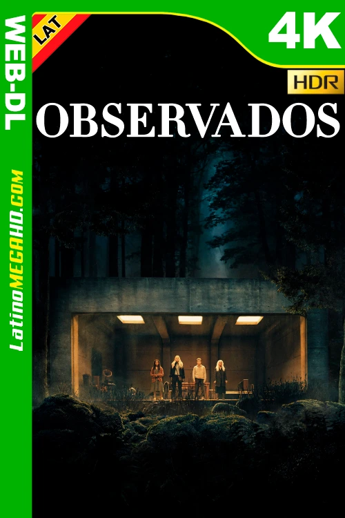 Observados (2024) Latino UltraHD HEVC HDR10+ WEB-DL 2160P