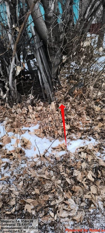 photo 2025 11 21 22 38 07