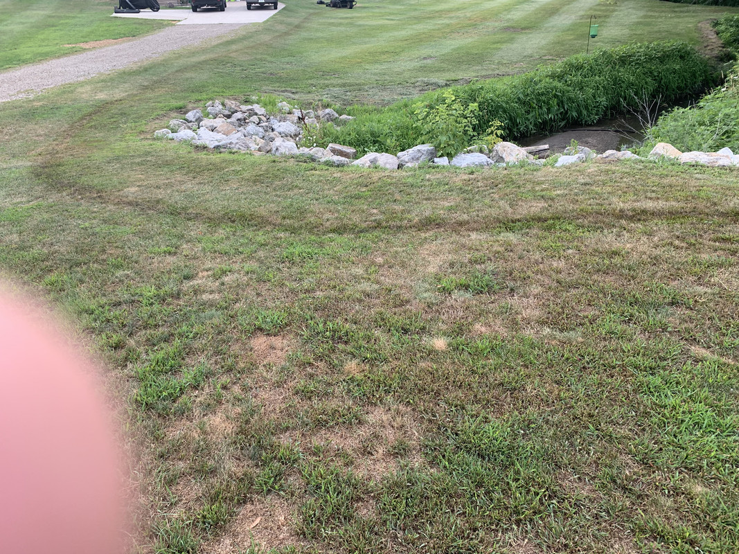 E014FFAF-F4E8-4E6A-8912-DF547D120E8A