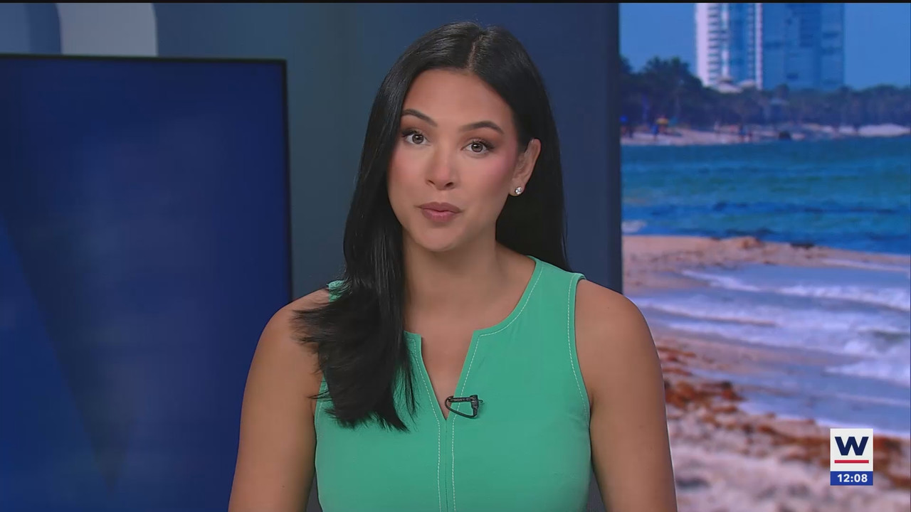 07.02 - 17.00.00 - The WINK Noon News  ᴺᵉʷ. Midday news update..ts_snapshot_09.42.973